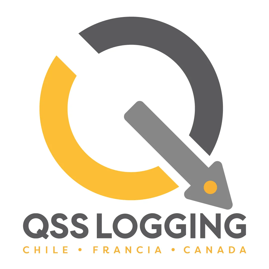 Q QSS Logging