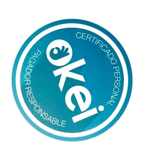 CERTIFICADO PERSONAL PAGADOR RESPONSABLE OKEI