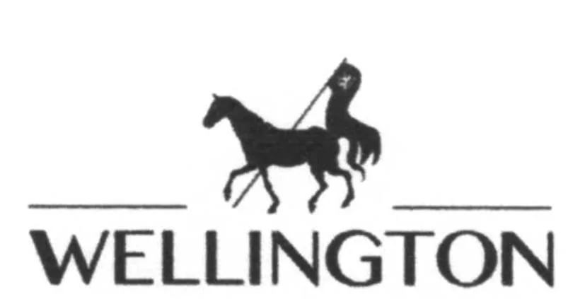 WELLINGTON