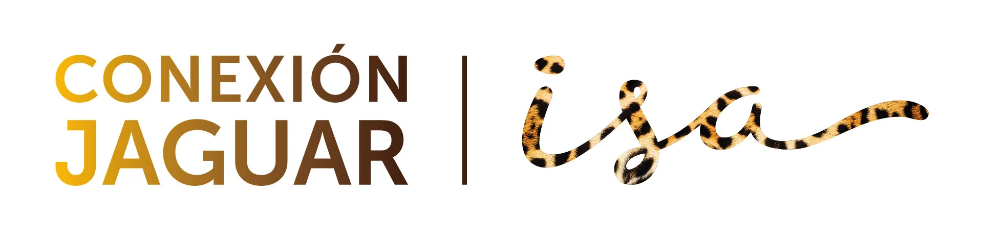 CONEXIÓN JAGUAR ISA