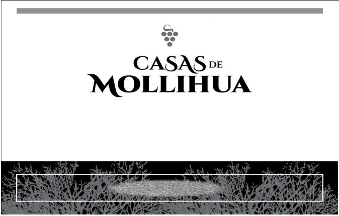 CASAS DE MOLLIHUA