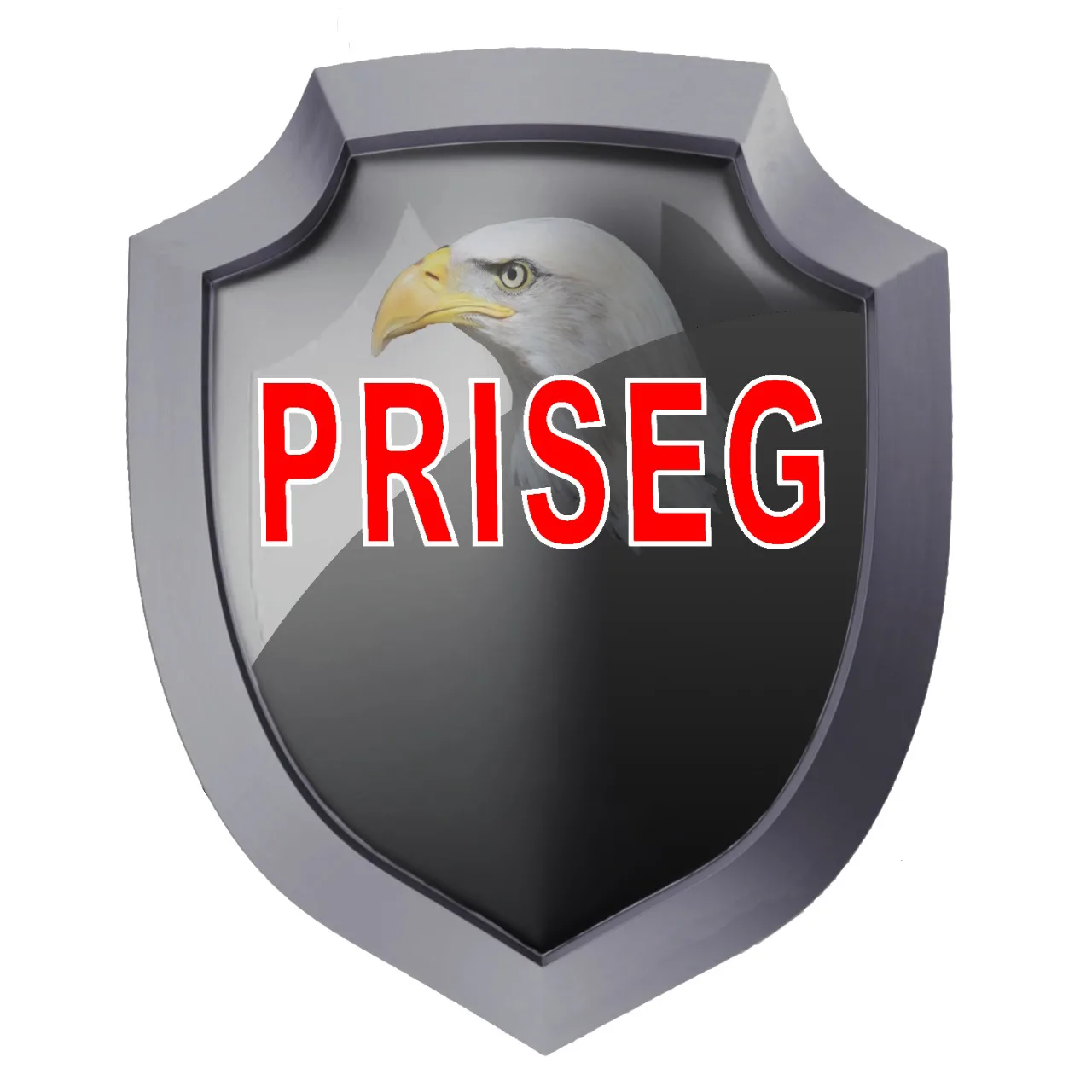 PRISEG