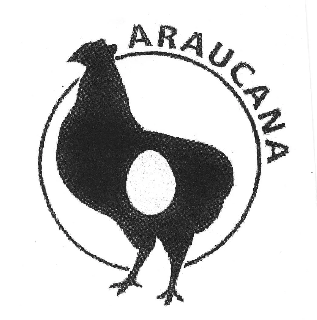 ARAUCANA
