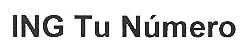 ING TU NUMERO