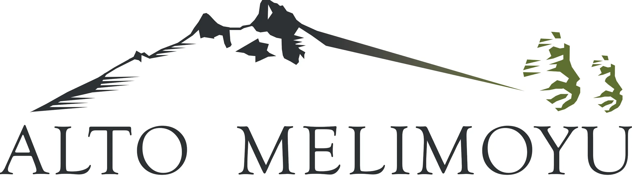 ALTO MELIMOYU