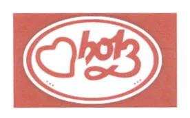 HOLZ