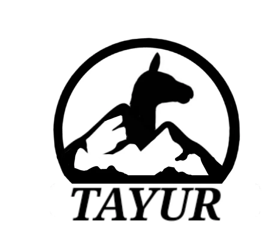 TAYUR
