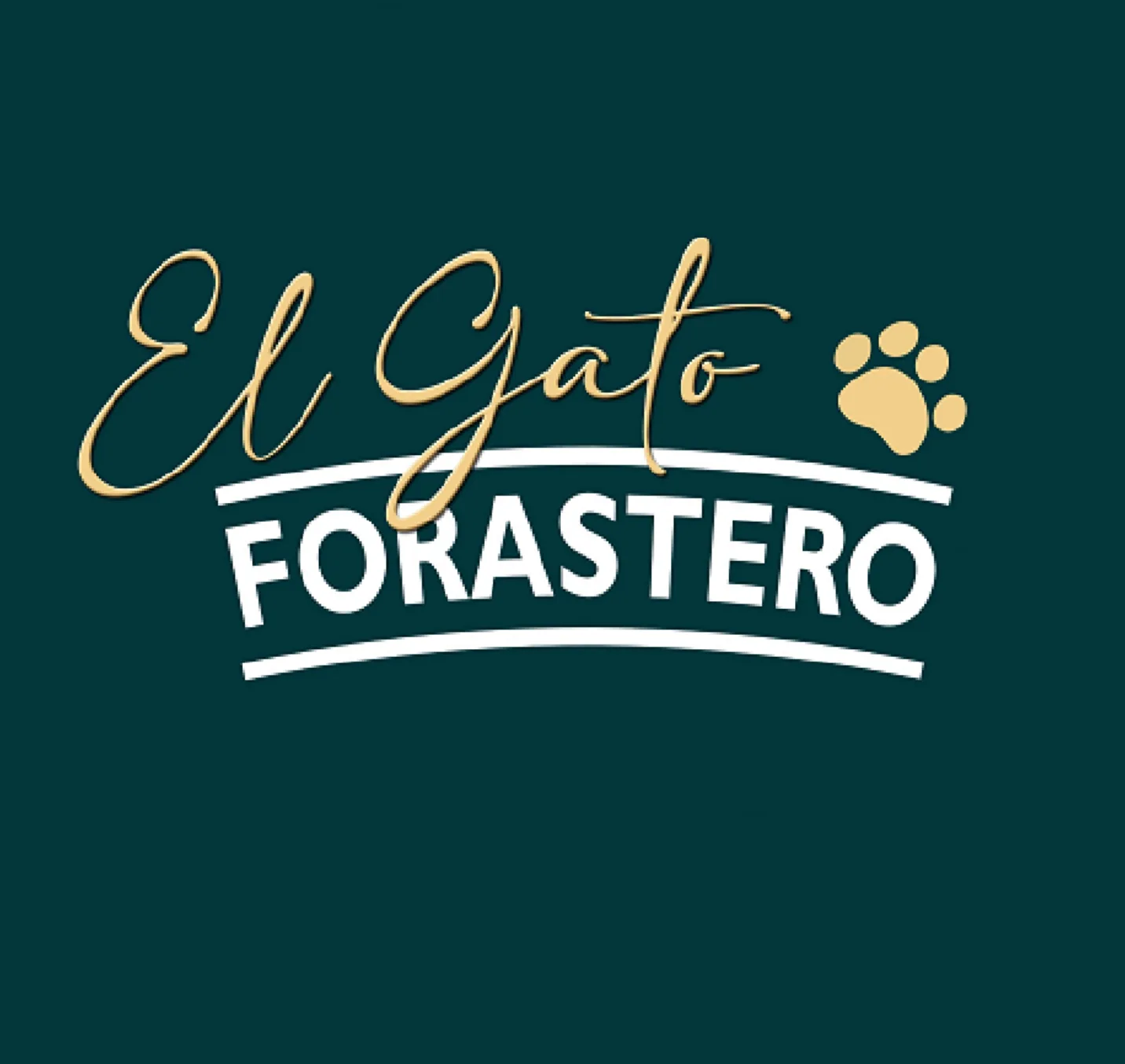 El Gato FORASTERO