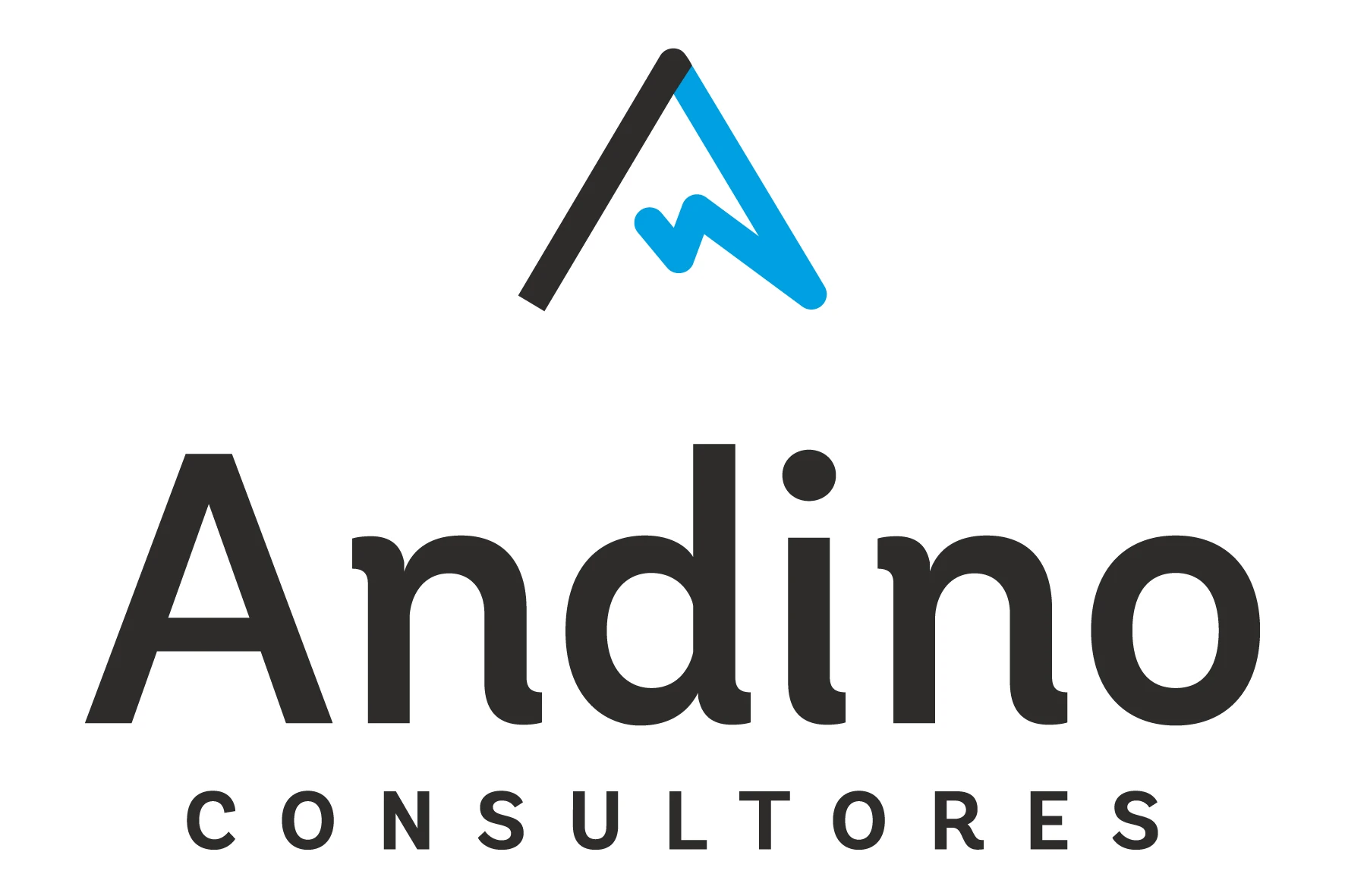 A Andino consultores