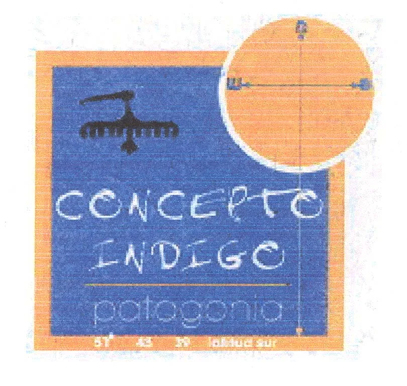 CONCEPTO INDIGO