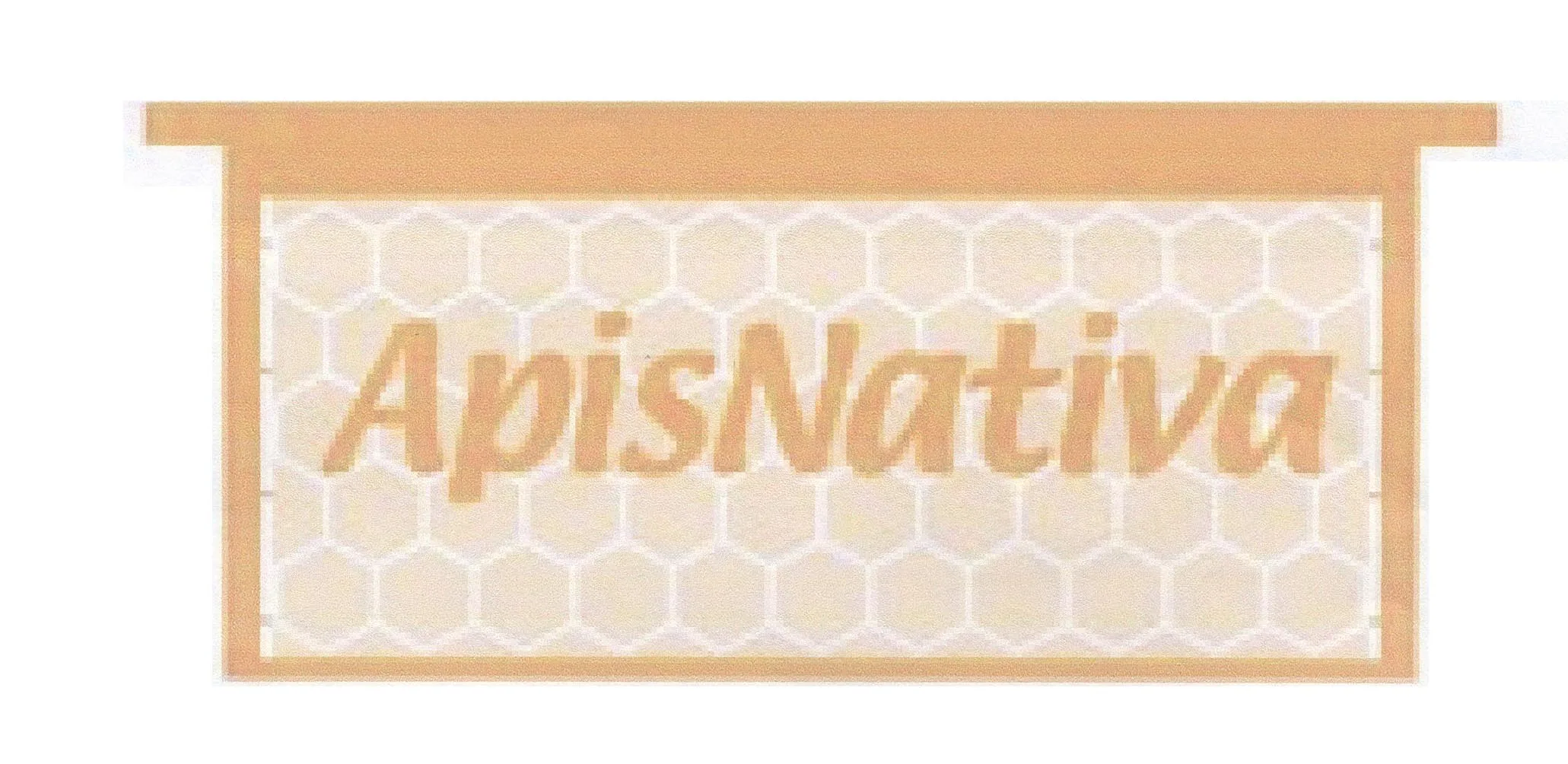 APISNATIVA