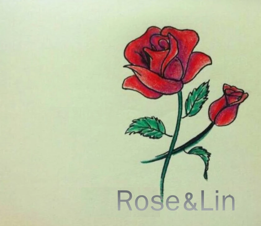 ROSE & LIN