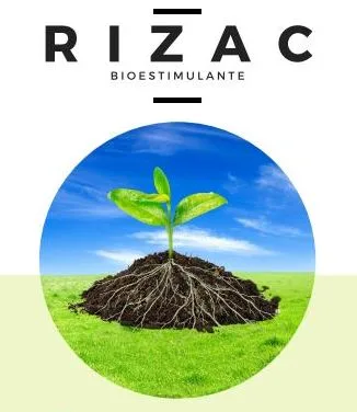 RIZAC