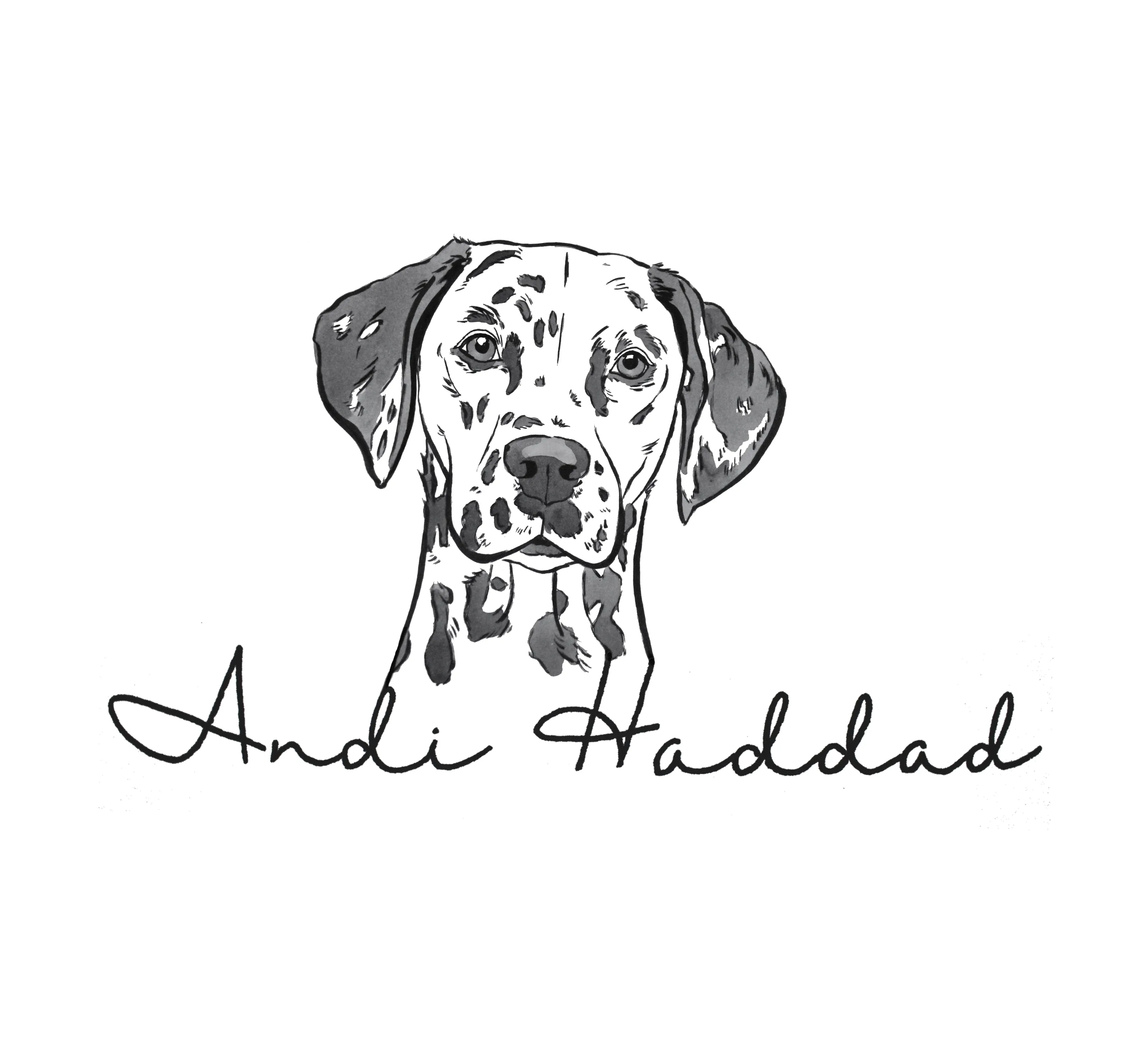 Andi Haddad