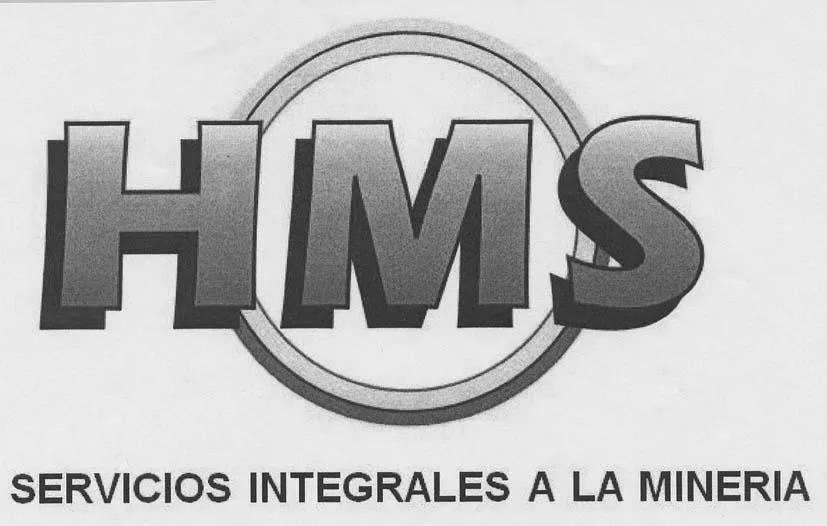 HMS SERVICOS INTEGRALES A LA MINERIA
