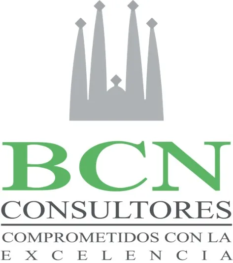 BCN CONSULTORES COMPROMETIDOS CON LA EXCELENCIA