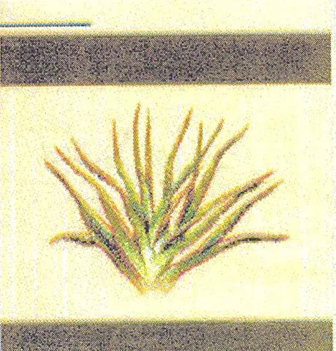 Acta 927338