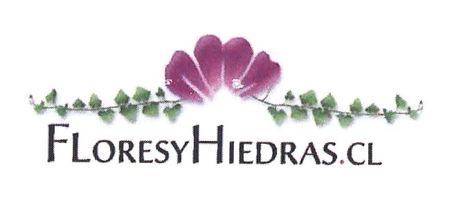 FLORESYHIEDRAS.CL