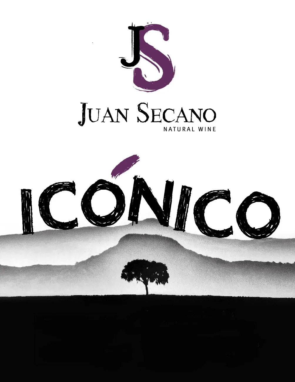 JS JUAN SECANO ICONICO