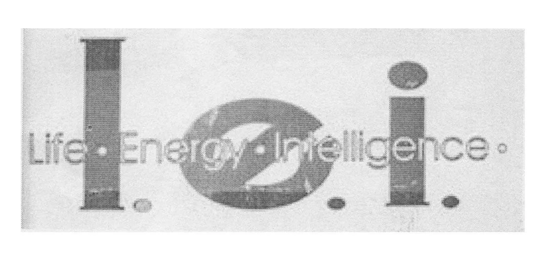 L.E.I. LIFE ENERGY INTELLIGENCE