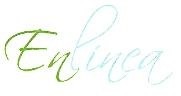 ENLINEA