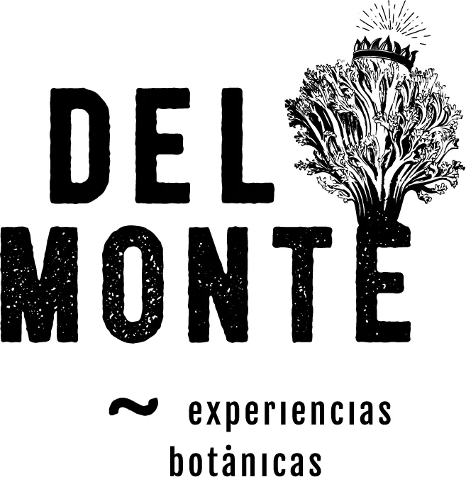DEL MONTE EXPERIENCIAS BOTÁNICAS