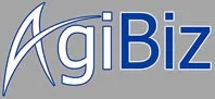 AGIBIZ