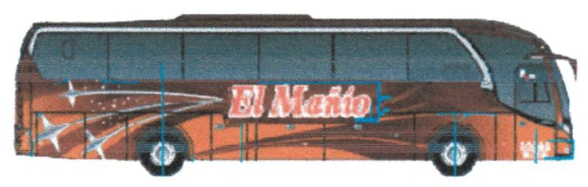 El Mañío
