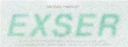 EXSER