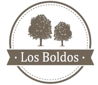 LOS BOLDOS
