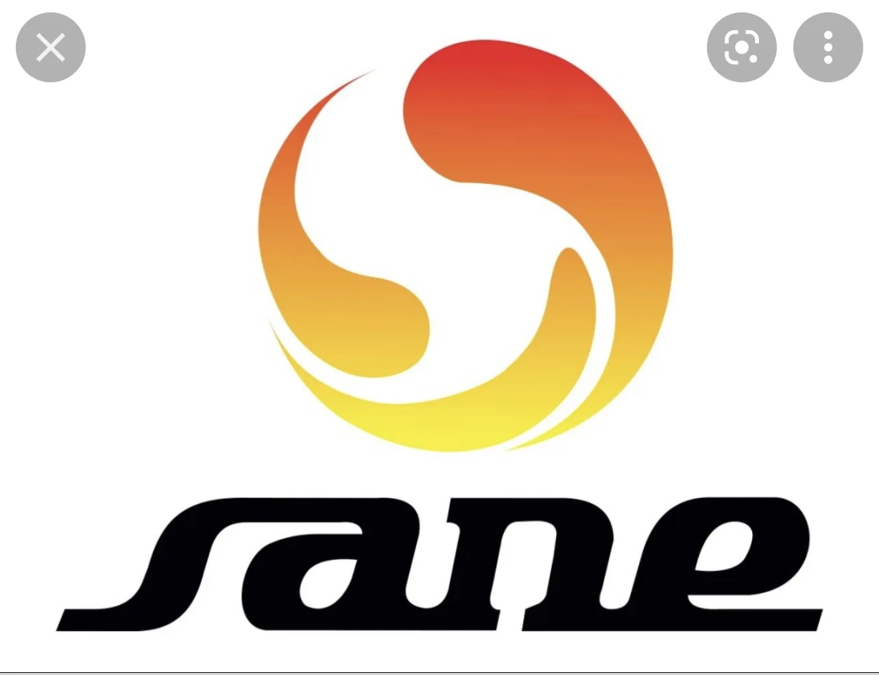 Sane