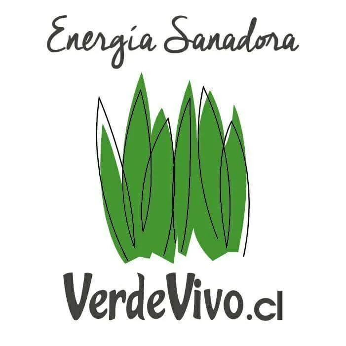VERDEVIVO.CL ENERGÍA SANADORA