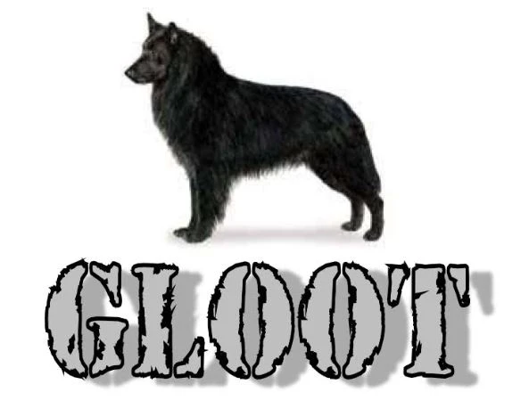 GLOOT