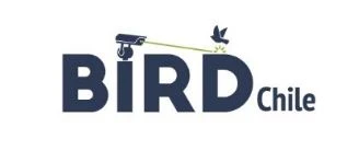Bird Chile