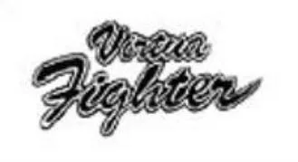 VIRTUA FIGHTER