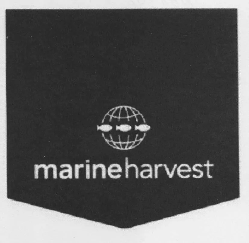MARINE HARVEST