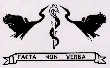 FACTA NON VERBA