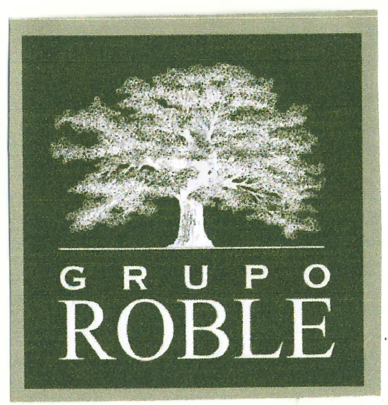 GRUPO ROBLE