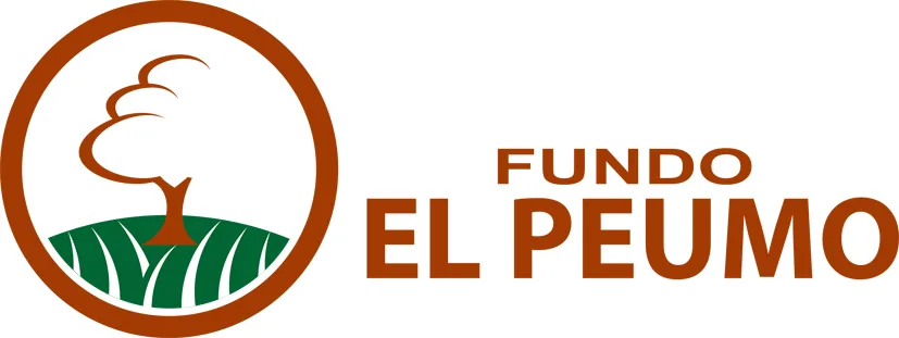 FUNDO EL PEUMO