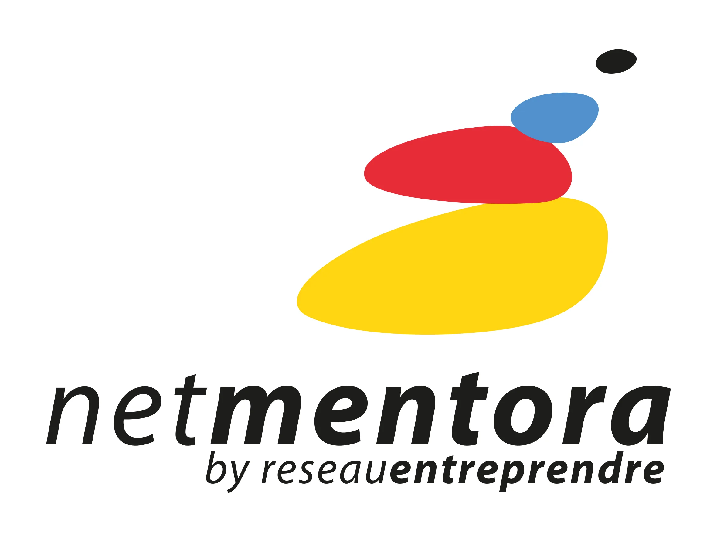 netmentora by reseauentreprendre