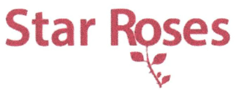 STAR ROSES