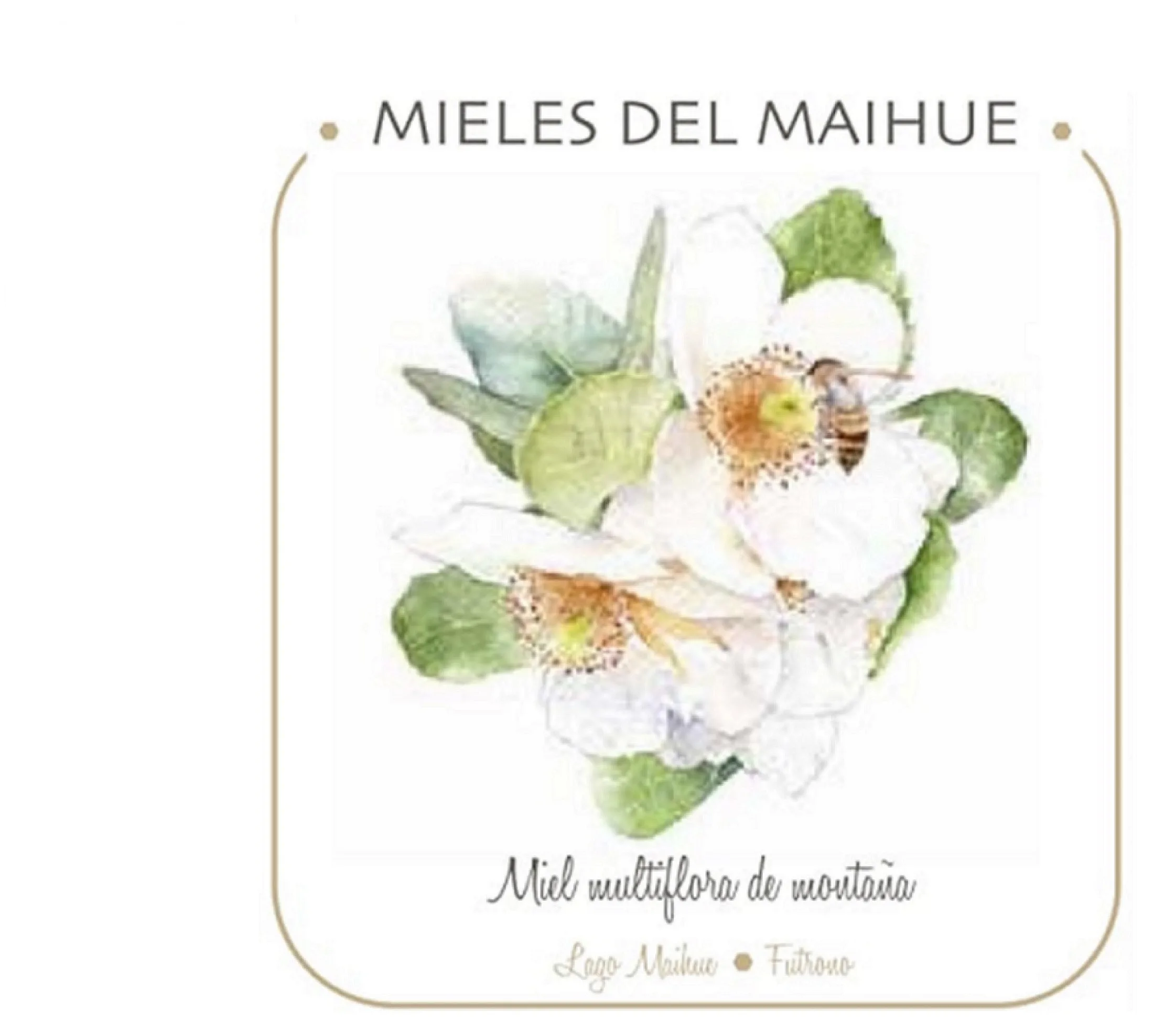 MIELES DEL MAIHUE