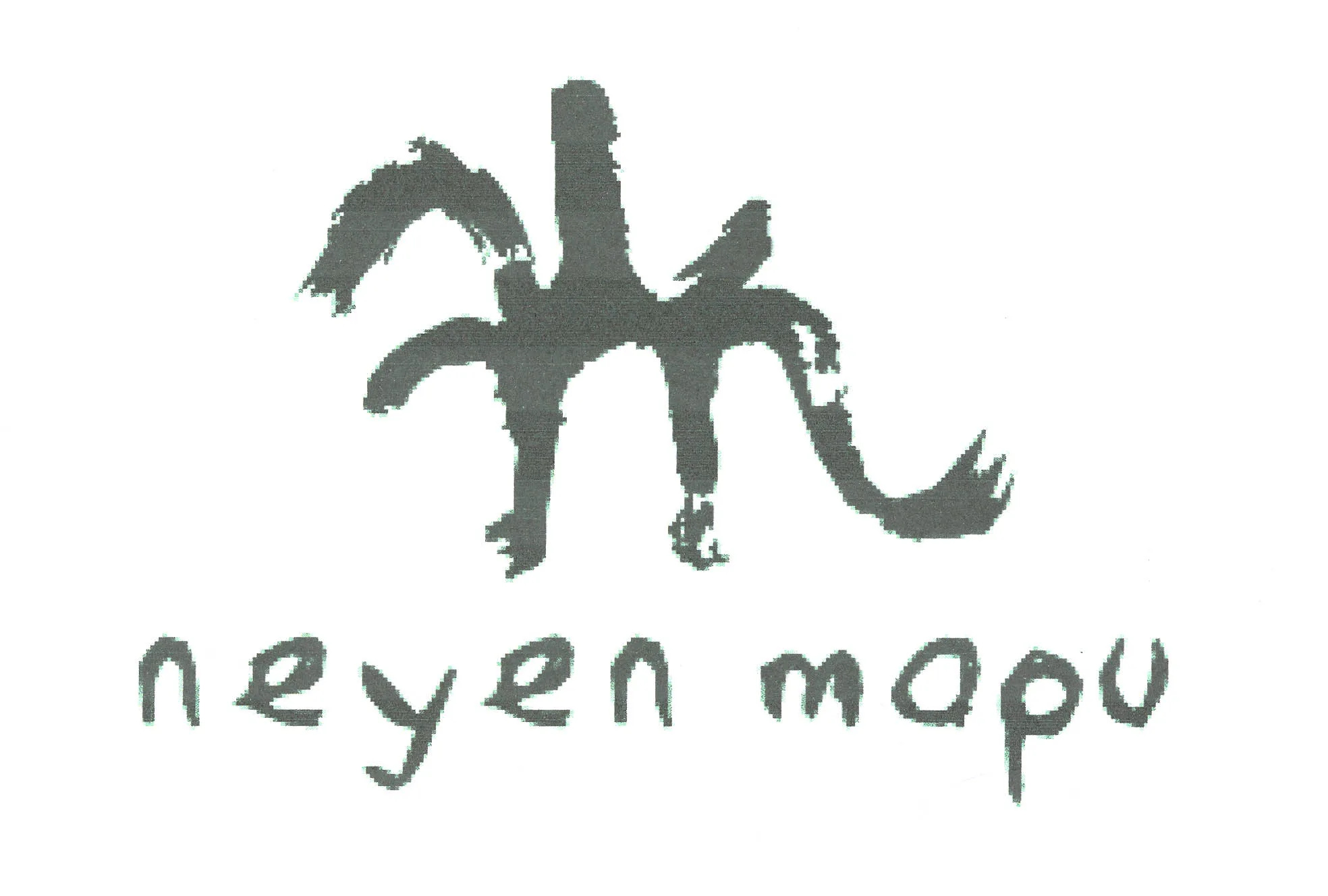 NM NEYEN MAPU