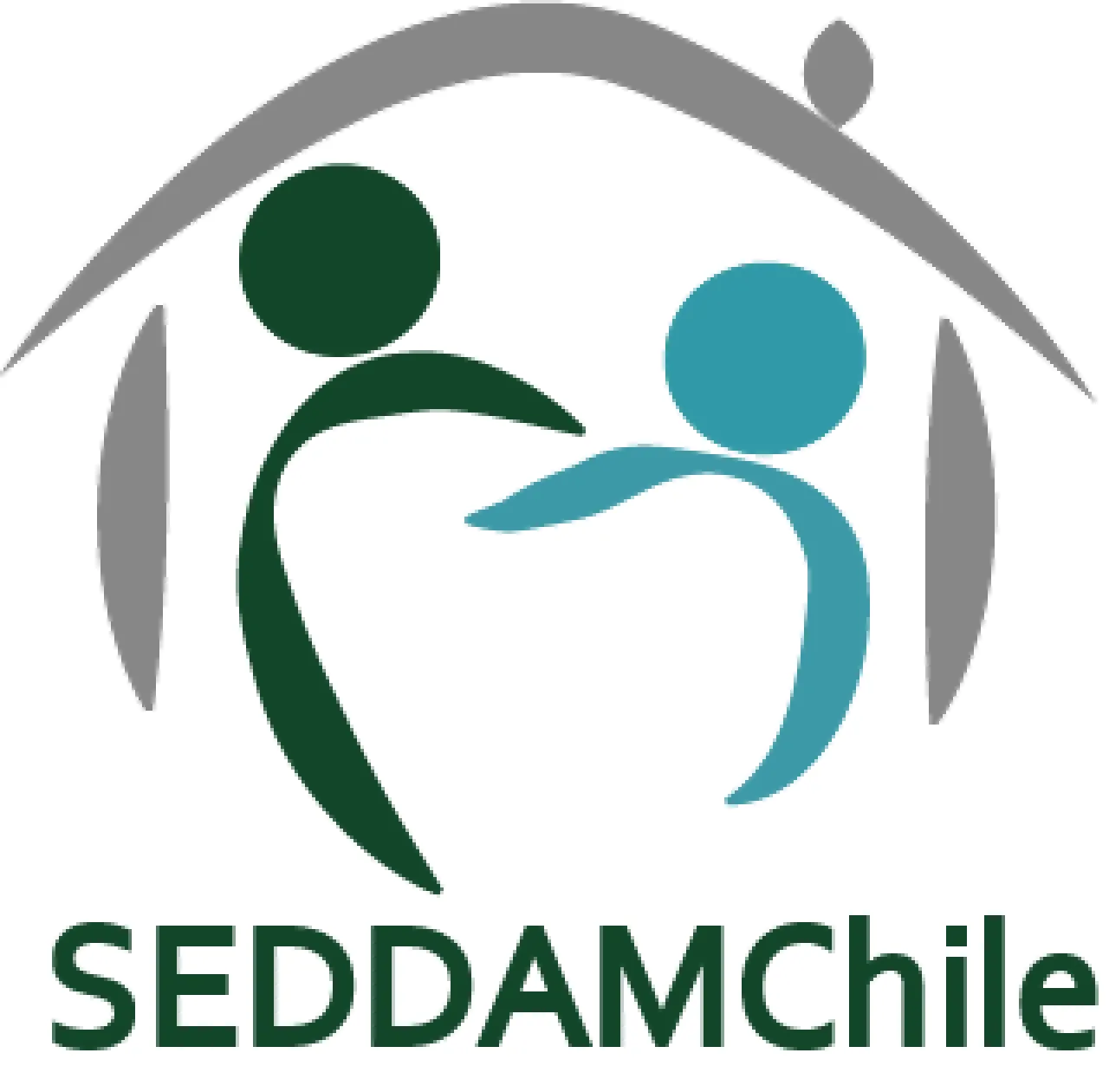 SEDDAMChile