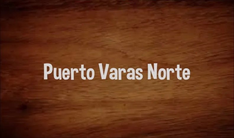 Puerto Varas Norte