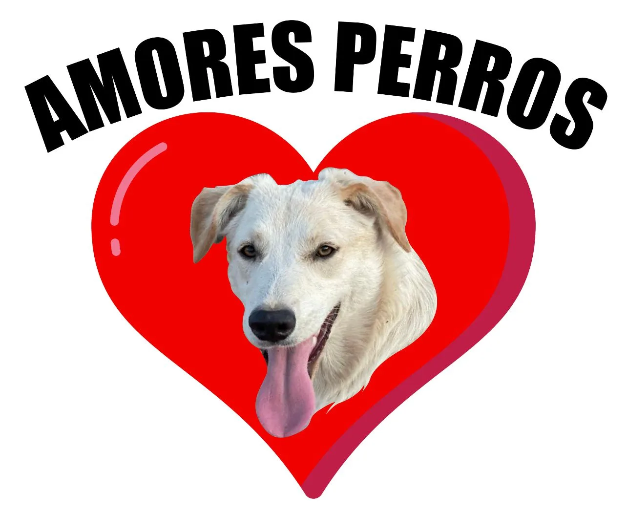 AMORES PERROS