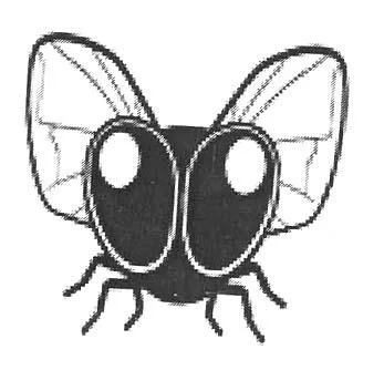 Acta 971353