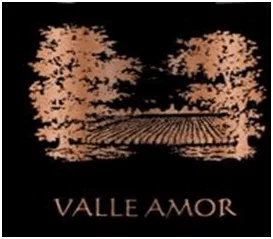 VALLE AMOR