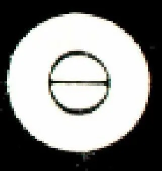 Acta 1244354