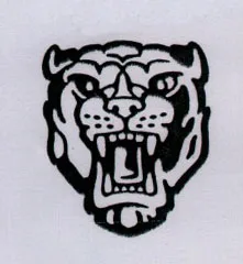 Acta 951354